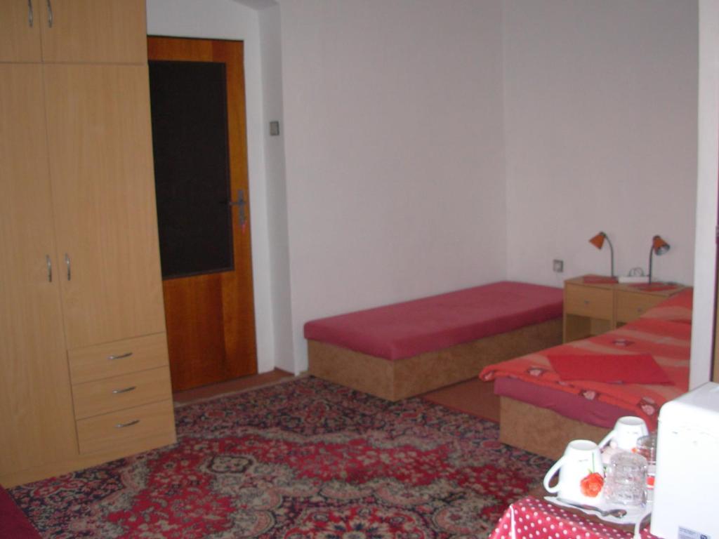 Penzion Hlinkova Plzen Room photo