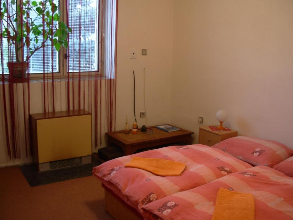 Penzion Hlinkova Plzen Room photo